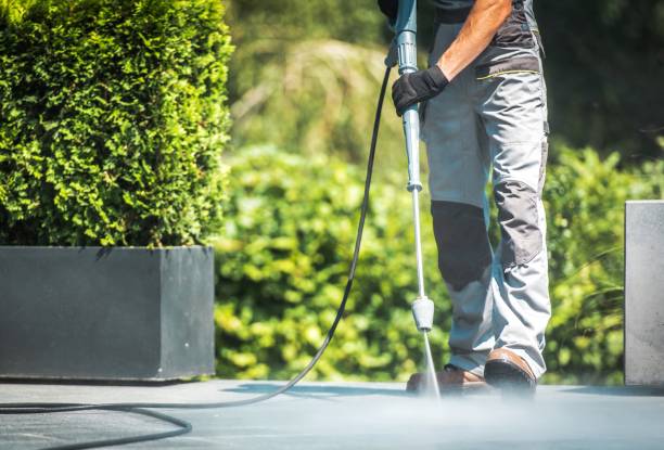 Best Pre-Holiday Cleaning  in Bogata, TX