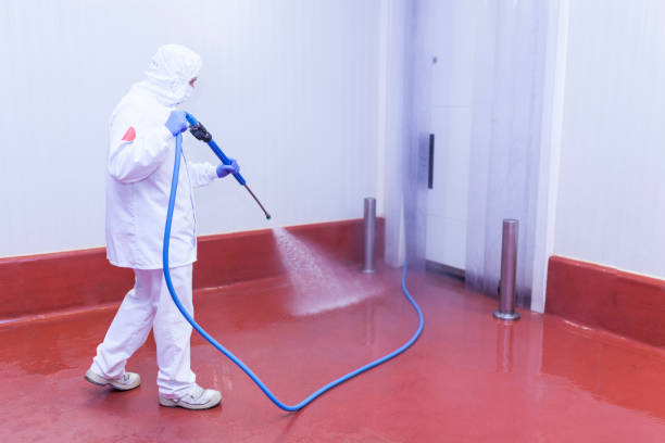 Best Residential Exterior Washing  in Bogata, TX