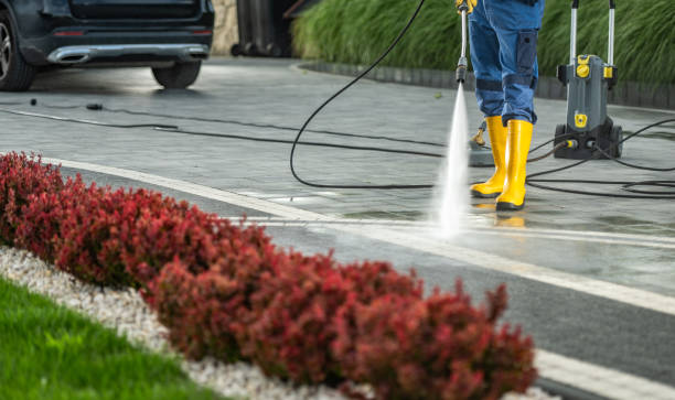 Best Solar Panel Cleaning  in Bogata, TX